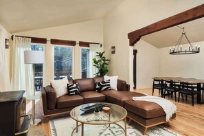 Télévision, cheminée, livres, espaces bureaux