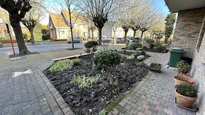Ein gepflasterter Weg, gesäumt von einem angelegten Garten mit Bäumen und Topfpflanzen.