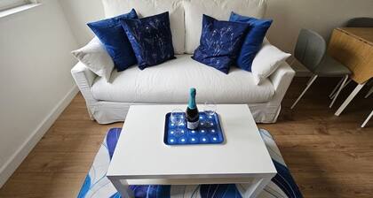 Modern Flat near Central London!