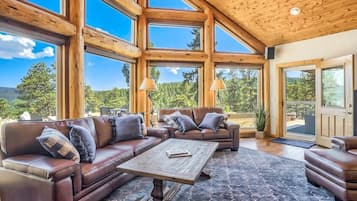 TV, fireplace, stereo, offices