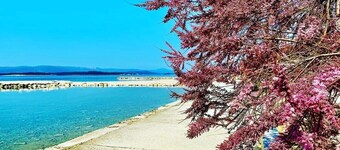 Sea view apartment Ana