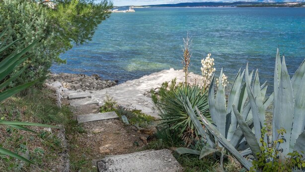 A coastal path with steps leading to the sea, surrounded by vegetation and a clear view of the ocean. - Seaview Retreat for 6 people (Tkon)