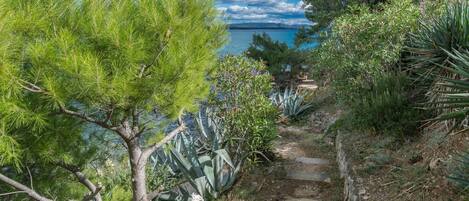 المنطقة المحيطة بالمنشأة