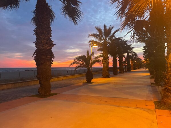 Leilighet | Overnattingsstedets uteområder