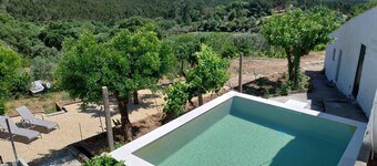 Stunning Hilltop Views • Orchard, Pool & Serenity