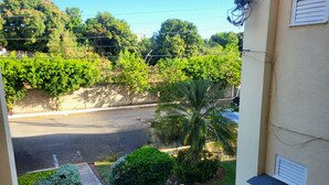 A view from a balcony overlooking a street with a palm tree and a garden. - Serene Super Studio Apartment with porch in Kingston (Kingston)