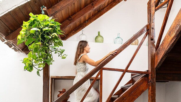 A wooden staircase with a hanging plant, a white wall, and two bottles on the floor. - Home2Book La Casita del Muelle (Garachico)