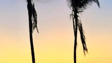 海滩