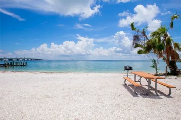 Una playa con una mesa de picnic de madera y una palmera.