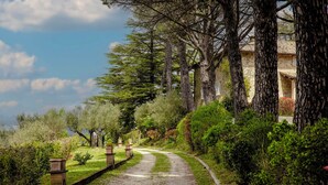A gravel path leading to a stone building surrounded by lush greenery and tall trees. - Tenuta Borgo San Michele (Gubbio)