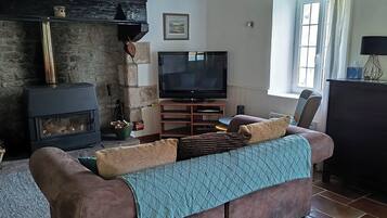 TV, fireplace, books