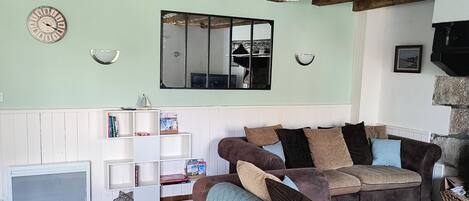 TV, fireplace, books