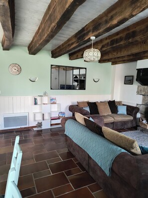 TV, fireplace, books