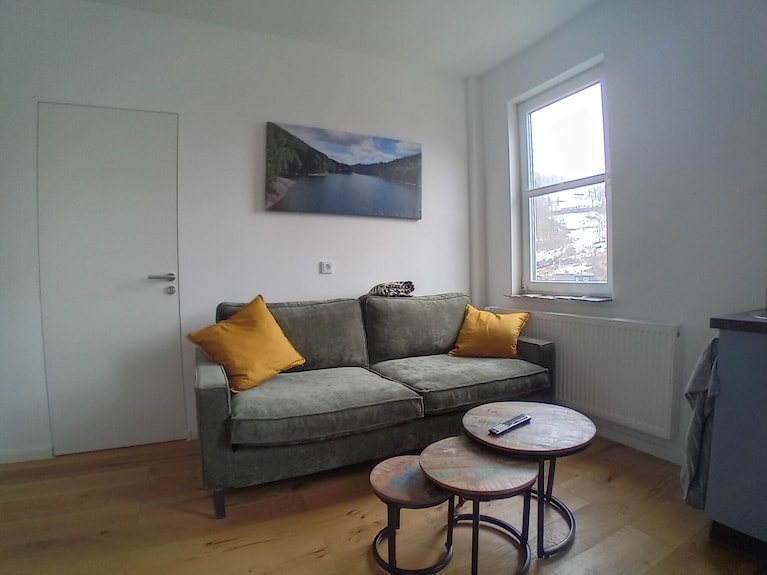 Panorama Apartment In The Glass Town Of Lauscha With Terrace, Beautiful Nature & Mountain Views - Lauscha