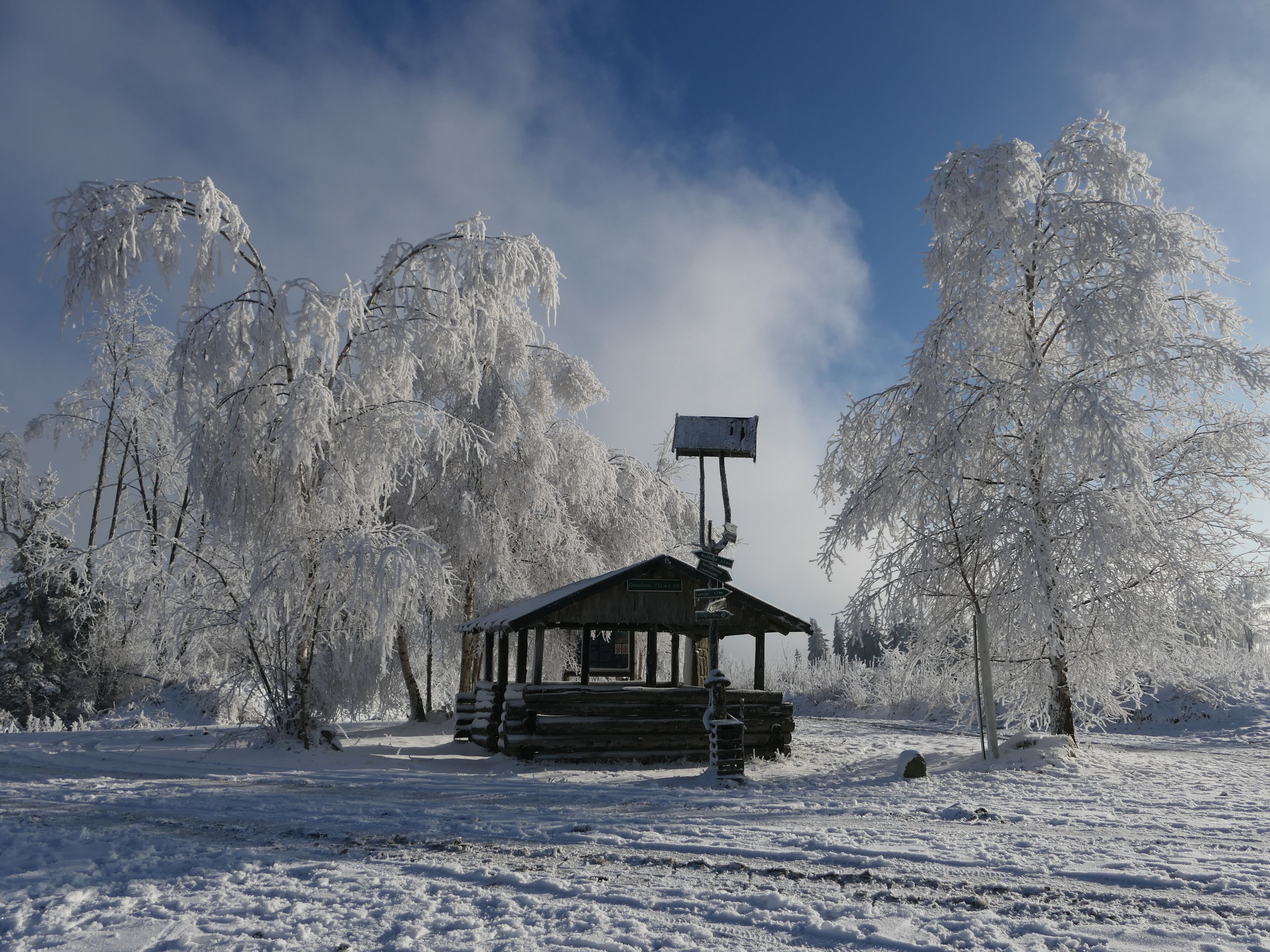 A wooden cabin with a snow-covered roof, surrounded by trees.