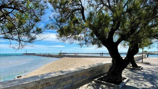 A beach with a wooden walkway, a stone wall, and a large tree providing shade.