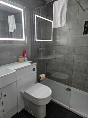 Departamento | Baño | Regadera, secadora de cabello, toallas, papel de baño 