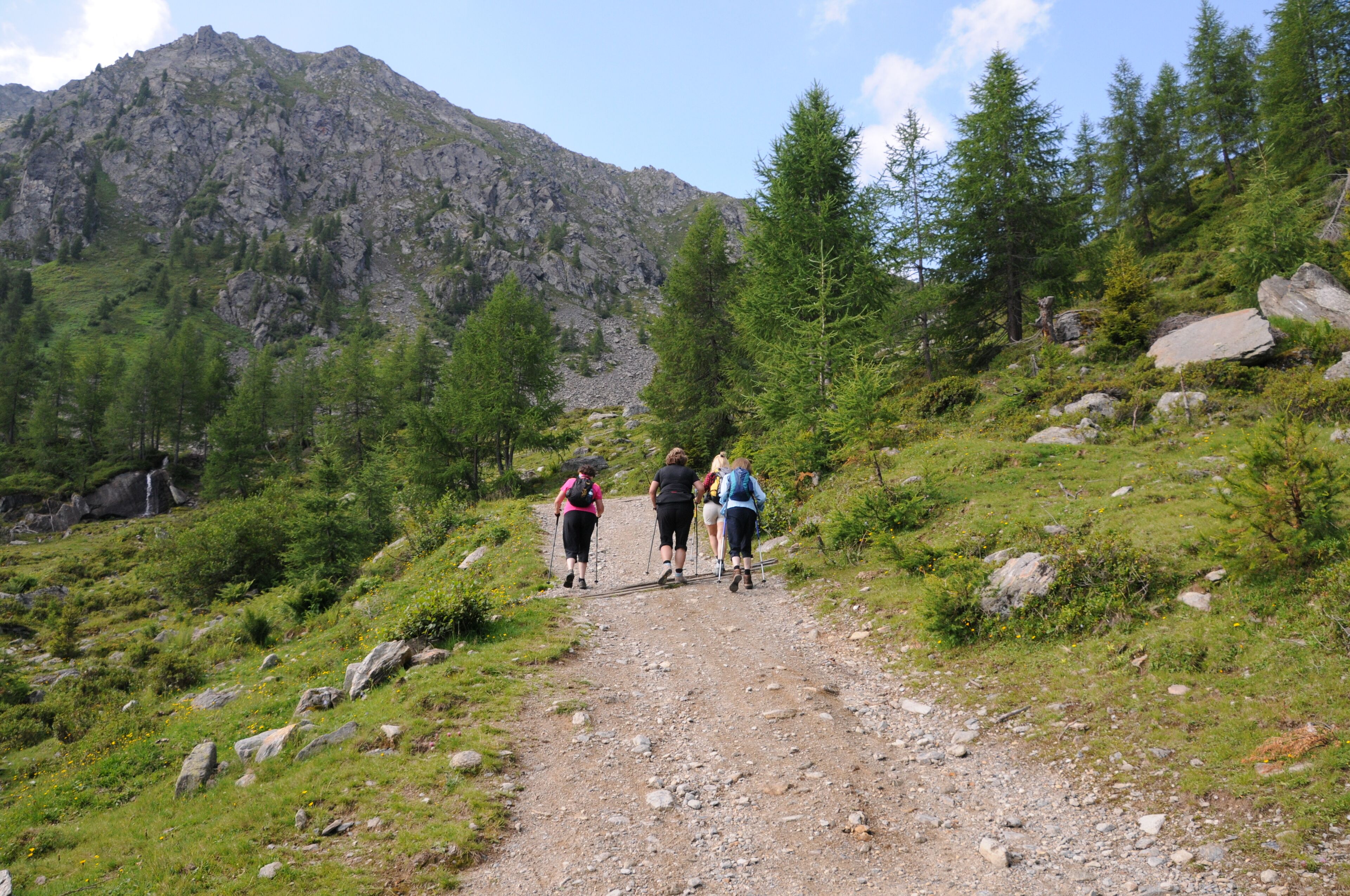 Vaellusreitti, jossa on kivikkoista maastoa ja puita.