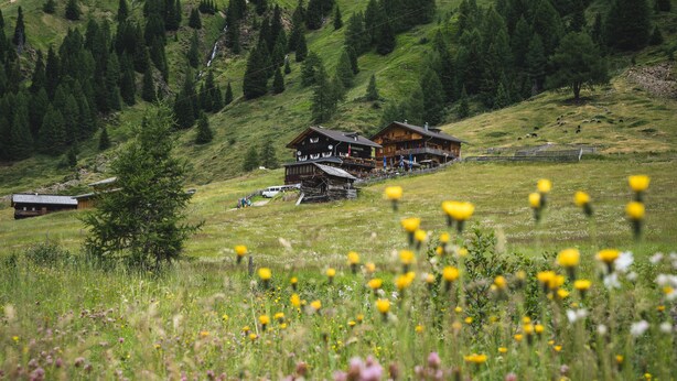 A chalet-style building with a wooden exterior, situated on a grassy hillside with a backdrop of trees and a mountain. - Apartment-Bergblick 80 m2 for up to 6 people (Arnbach)