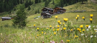 Apartment-Bergblick 80 m2 for up to 6 people