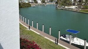 A marina with boats docked, a wooden walkway, and a view of houses and palm trees in the background.