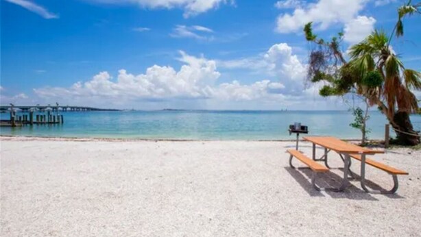 A beach with a wooden picnic table and a palm tree.