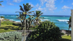 A coastal view with palm trees and a wooden fence.