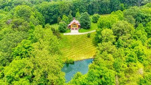 Unclassified image, 2 of 39, button