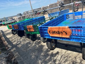 Miscellaneous - Gatsby’s Sky Level. Ocean Bay Park. 
Sleeps 12. Hot Tub + Ocean Views (Fire Island)