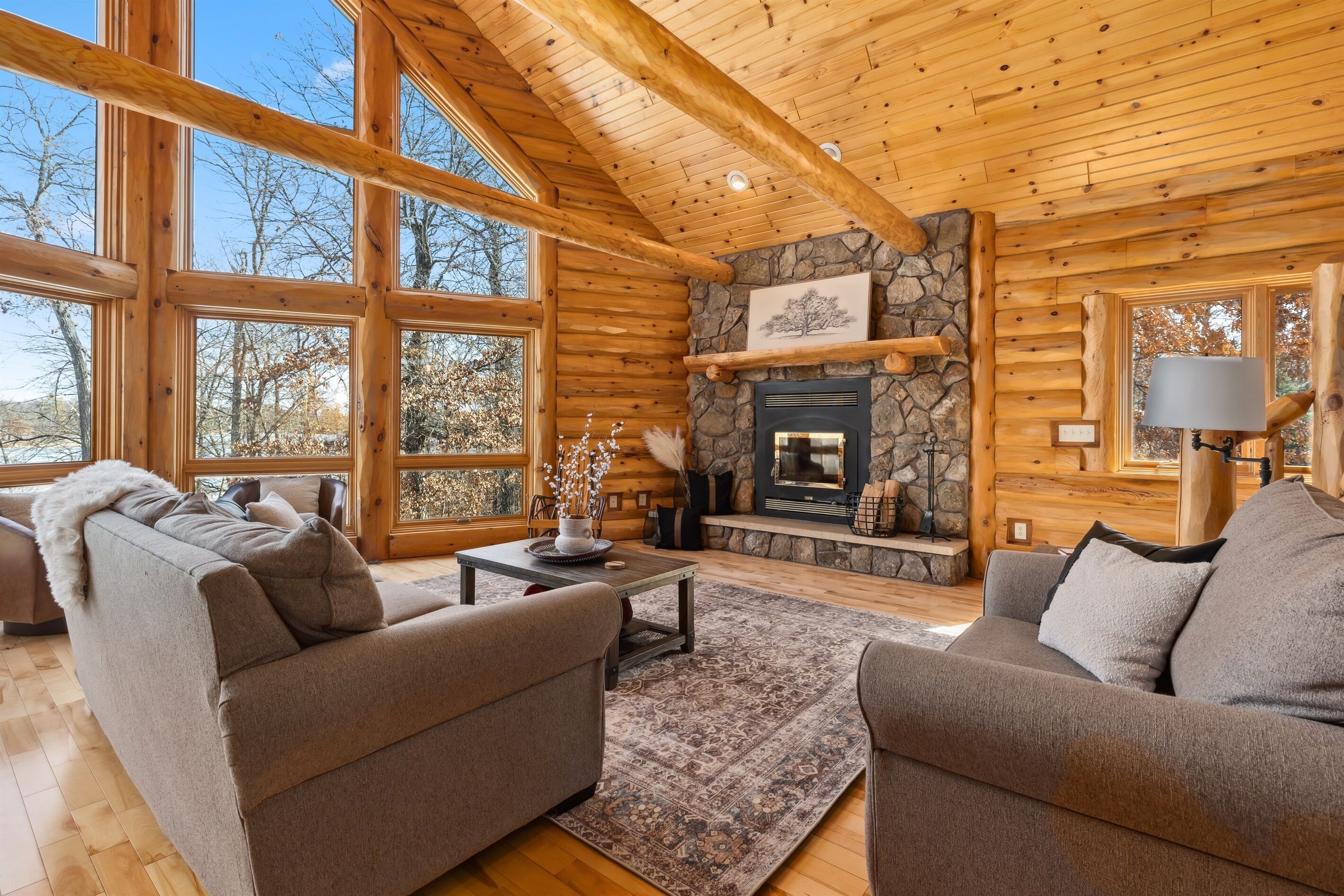 Smart TV, fireplace, DVD player, books