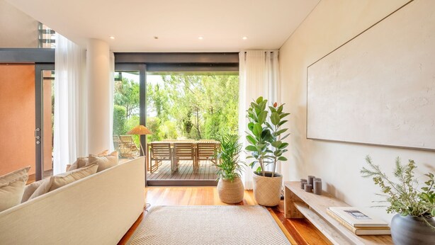 A modern living room with a sofa, a dining table, and potted plants.