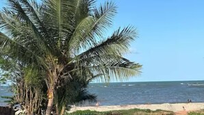 A palm tree-lined path leading to a beach with the ocean in the background. - Beach House in Barra, Ilhéus (Barra do Itaípe Ilhéus)