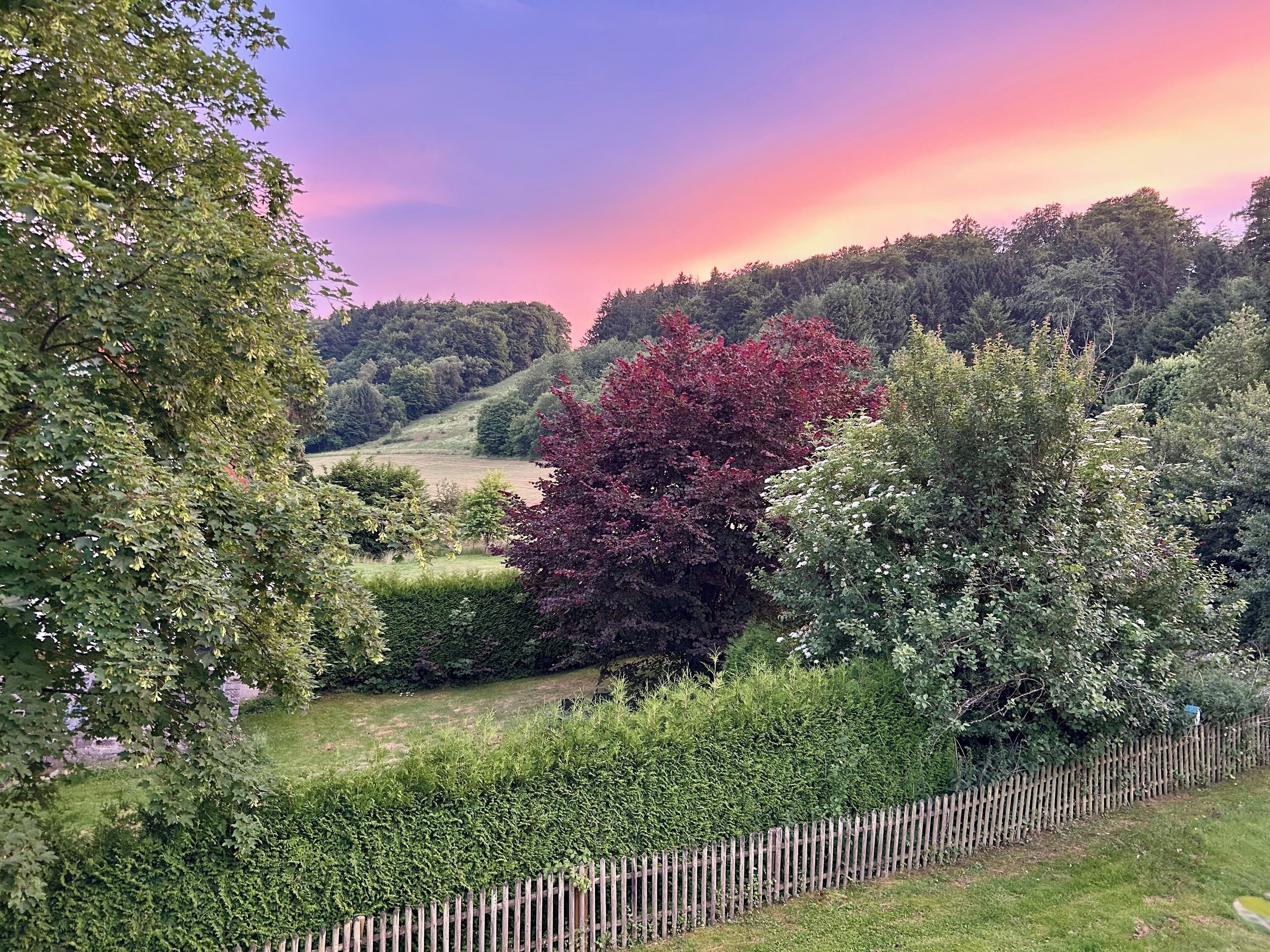 Ländliche Landschaft mit Holzzaun, dichtem Grün und einer Erhebung im Hintergrund.