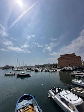 مارينا