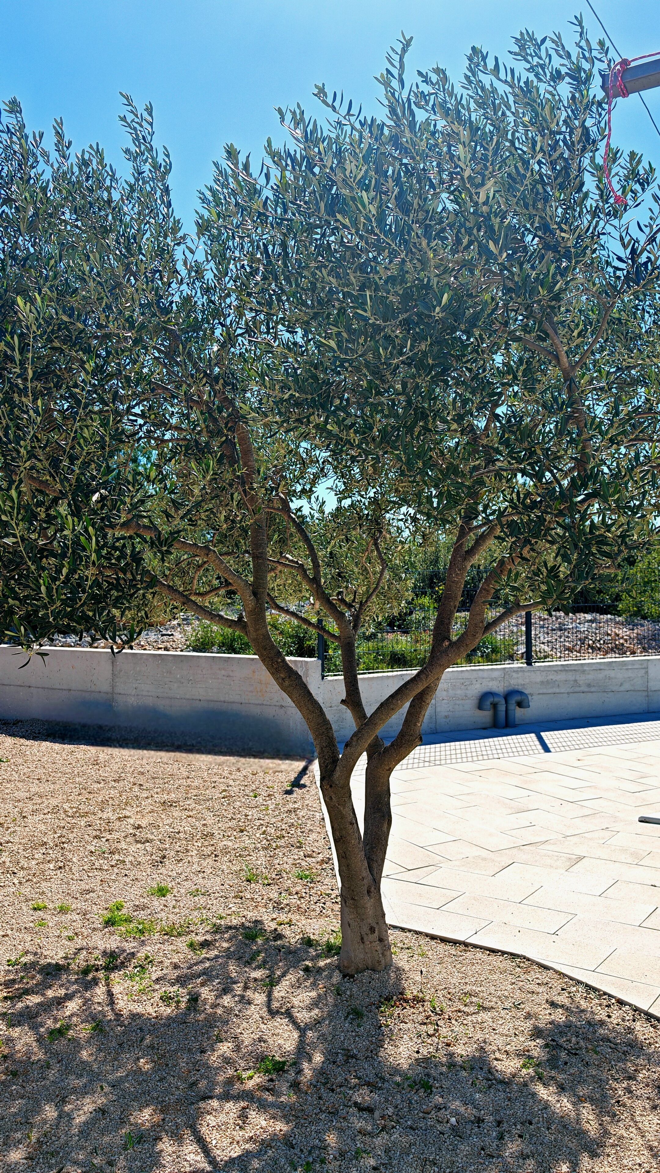 Overnatningsstedets område