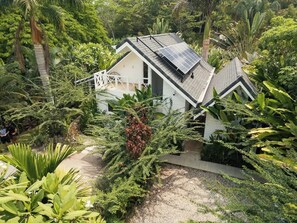 A house with a sloped roof, surrounded by dense tropical vegetation.