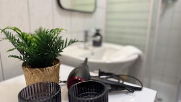 Dusche, Haartrockner, Handtücher, Seife
