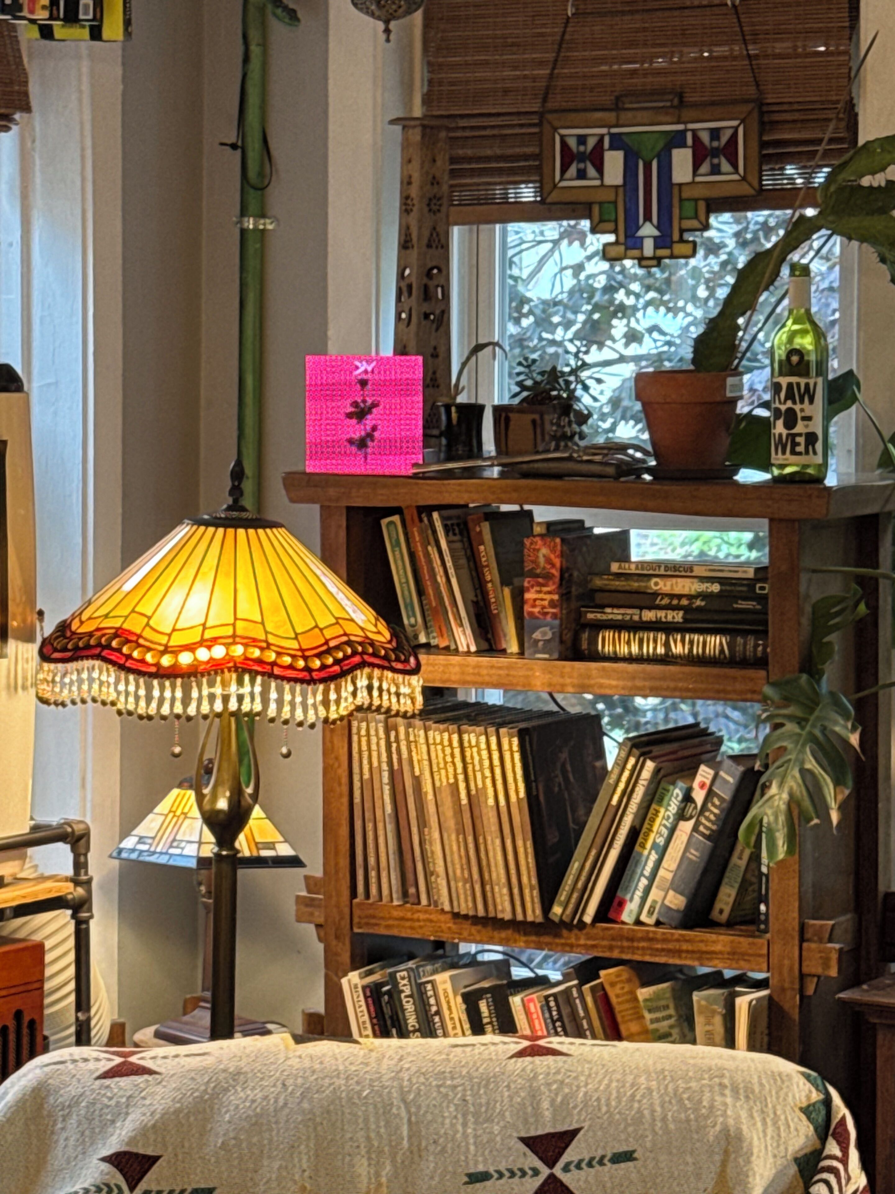 Ein Zimmer mit Bücherregal, Lampe und einem Fenster mit Blick.