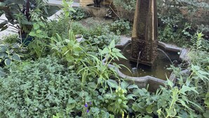 A garden with a fountain, various plants, and a brick building in the background. - Tranquil Library near Brown Line 2 bed 1 bath vintage private unit @ Solar Lodge (Chicago)