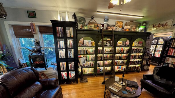 A cozy living room with leather furniture, a bookshelf, and a fireplace. - Tranquil Library near Brown Line 2 bed 1 bath vintage private unit @ Solar Lodge (Chicago)