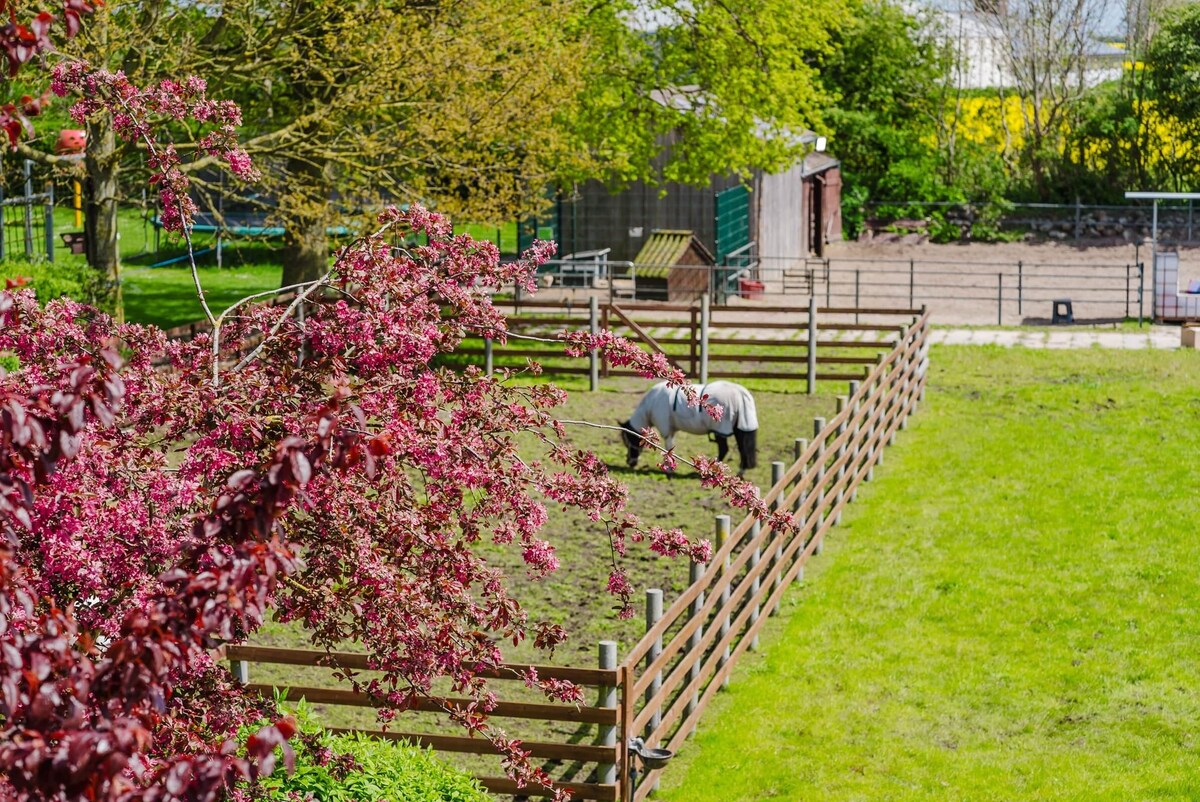 オーナーのプロフィール画像