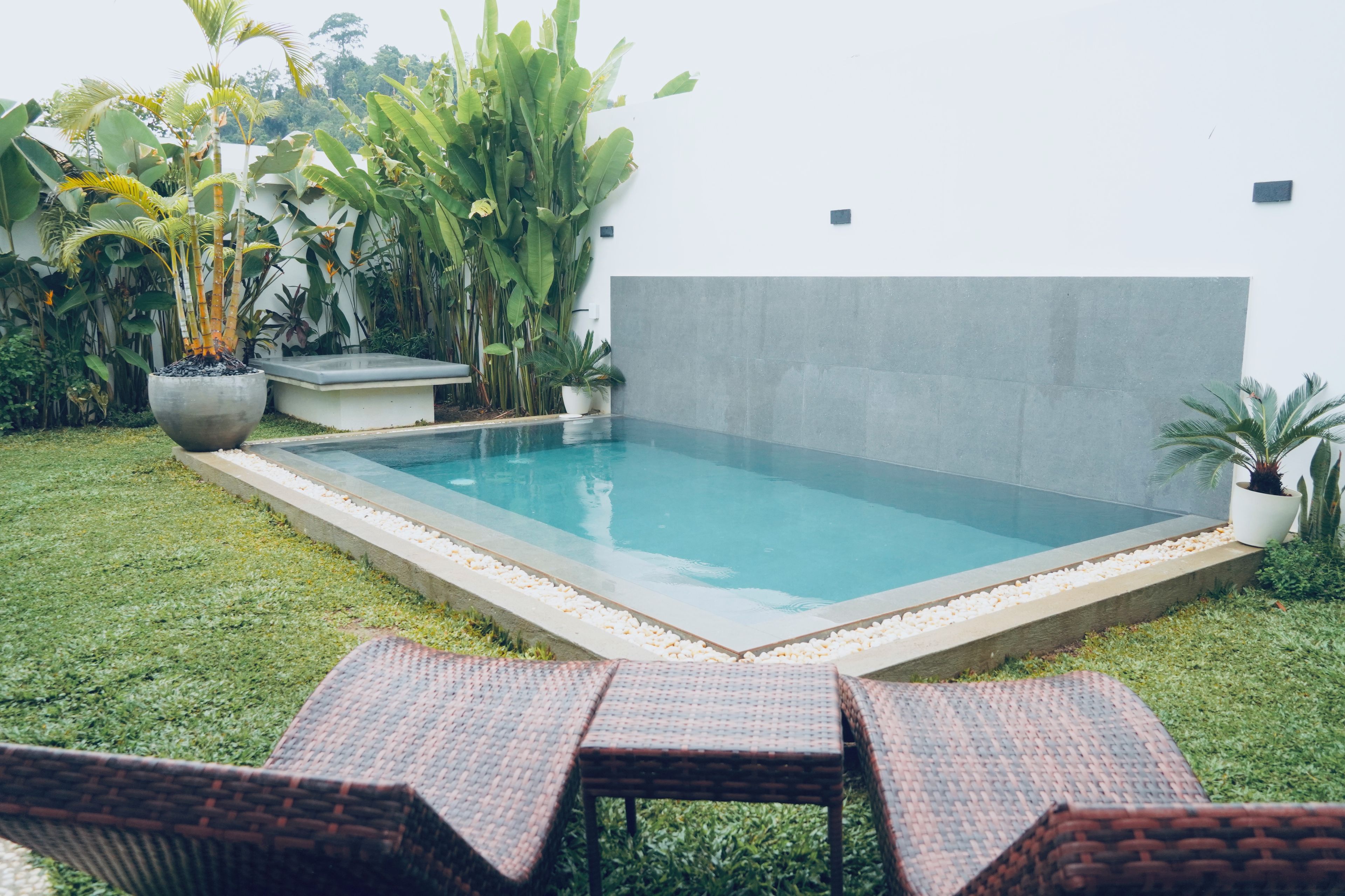 Una piscina rectangular con borde de hormigón, rodeada de césped y diversas plantas en macetas.