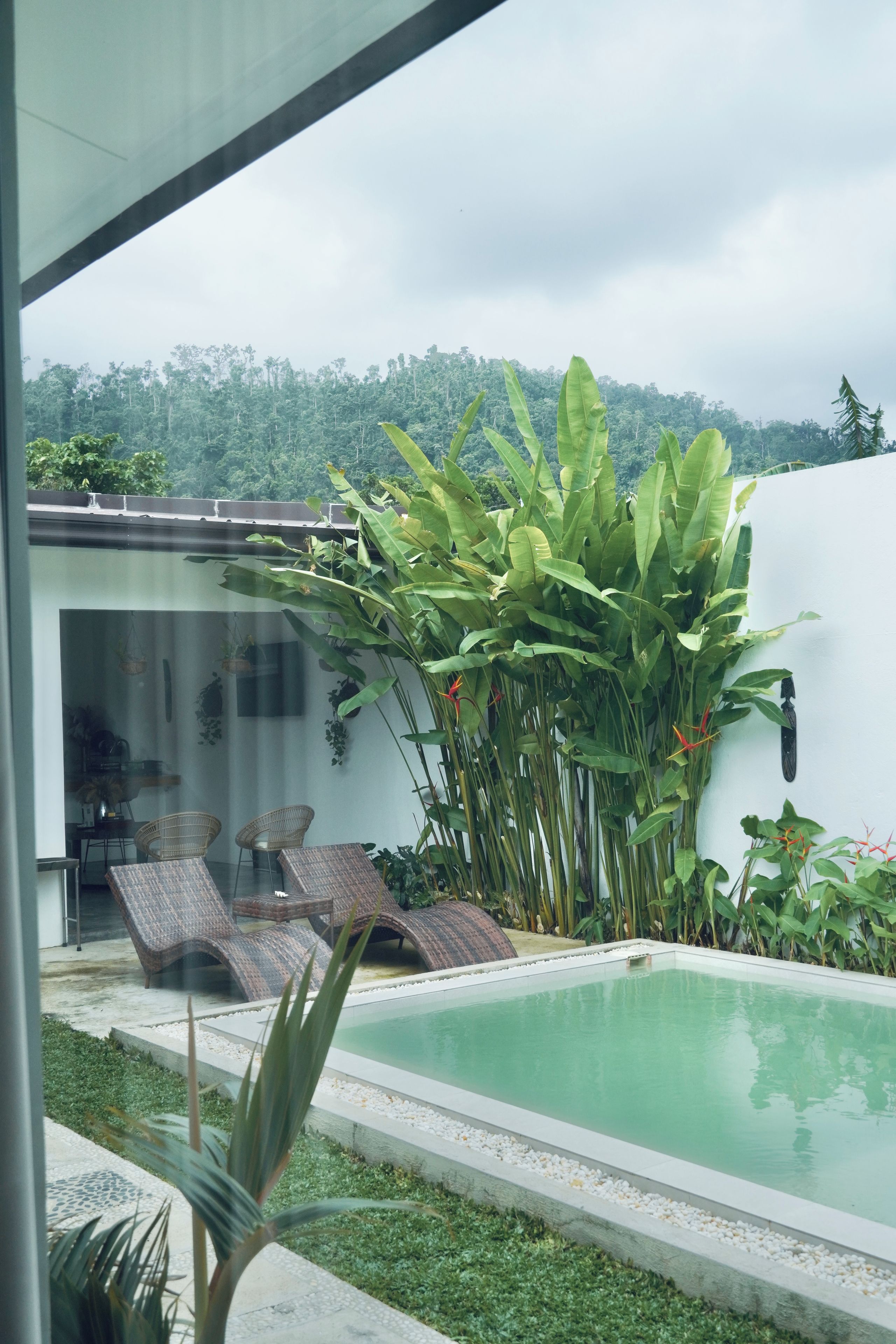 A modern outdoor pool area with a glass enclosure, lounge chairs, and lush tropical plants.
