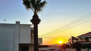 Ein modernes Gebäude mit einem gebogenen Balkon, einer Palme und einem Sonnenuntergang im Hintergrund.