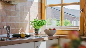 Mikrowelle, Herdplatte, Geschirrspüler