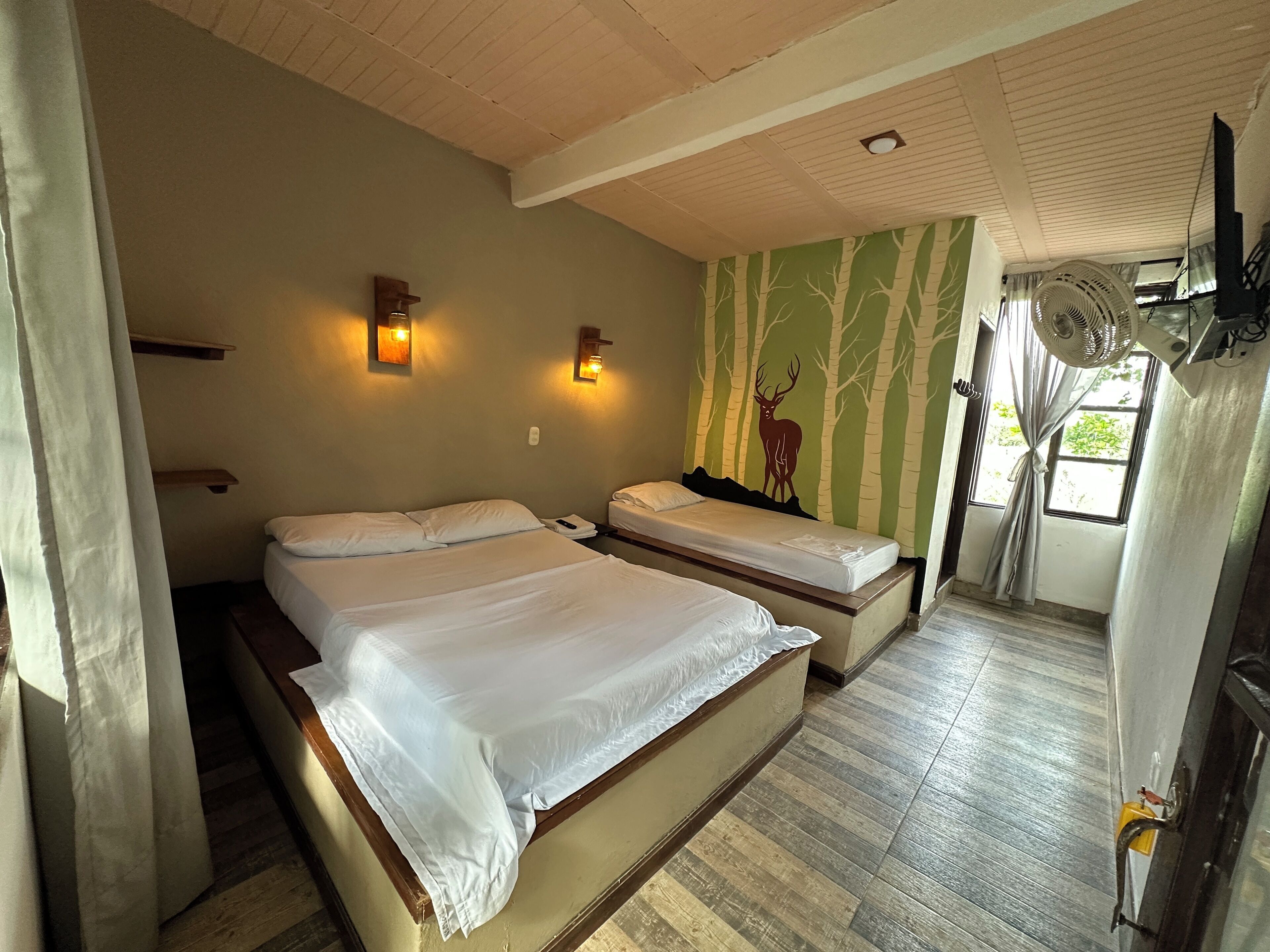 Iron/ironing board, free WiFi