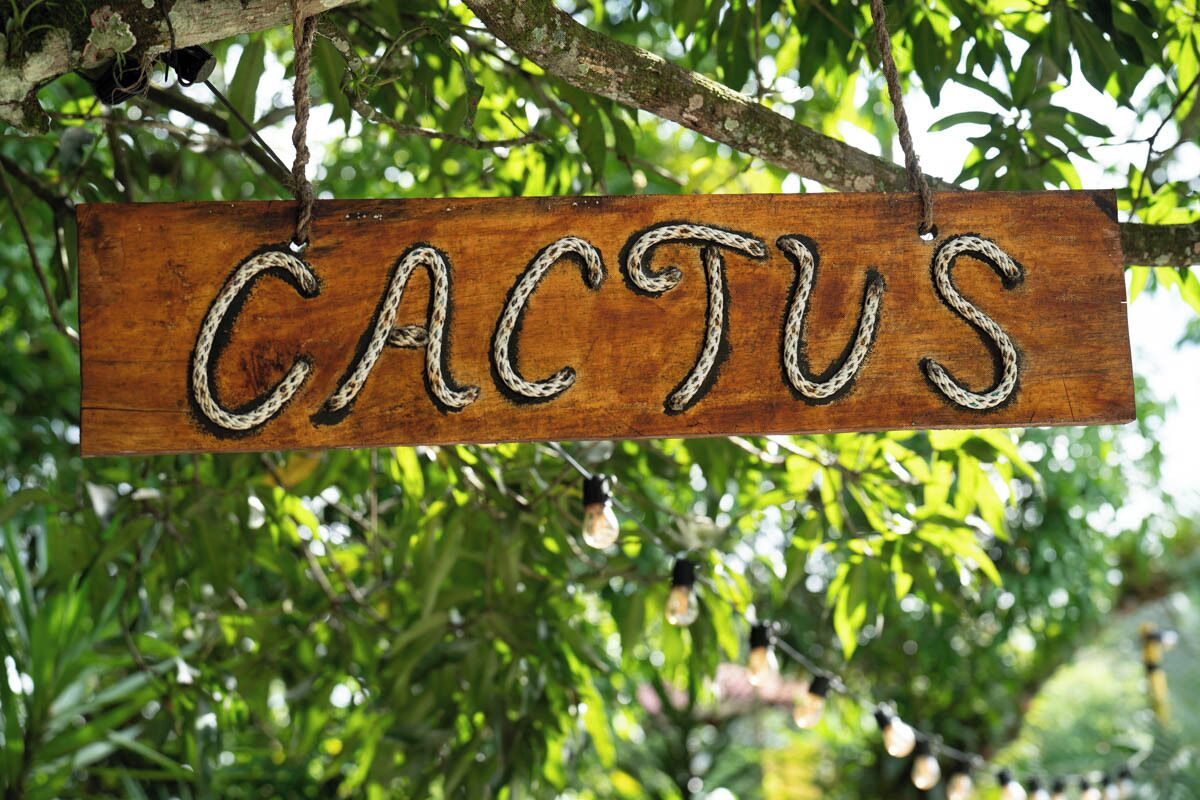 Un letrero de madera con la palabra 'CACTUS' colgado de una rama de árbol.