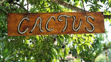 Un letrero de madera con la palabra 'CACTUS' colgado de una rama de árbol.