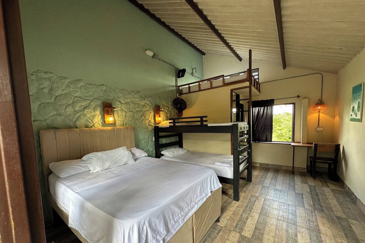 A dormitory room with bunk beds, a desk, and a window with a view of greenery.