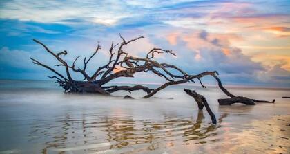 Golden Isles Getaway-pets welcome
